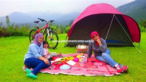 Adventure Family Camping – PINE FOREST CAMP - raincitystudios.com