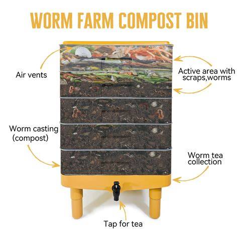 Advice on moving worms from bin to tower setup - raincitystudios.com