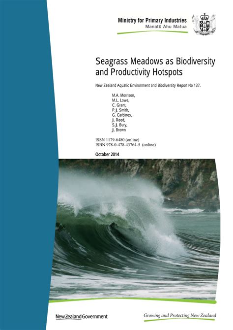 AEBR 137 Seagrass Meadows as Biodiversity and Productivity Hotspots