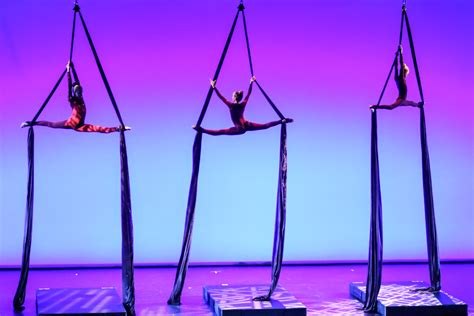 Aerial Arts And Performances - muktibox.com