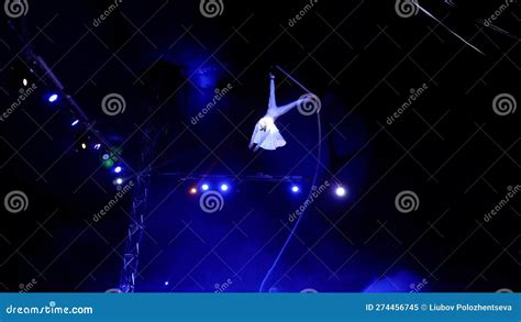 Aerialist Performs at Top of Church for CEOs - muktibox.com