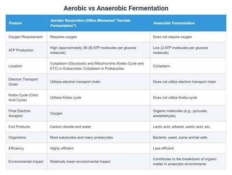 Aerobic and Anaerobic Processes Waste Fermentation - raincitystudios.com