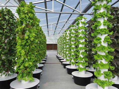 Aeroponic Garden Design Ideas for Beginners - Live to Plant - raincitystudios.com