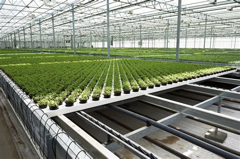 Aeroponic Irrigation | Indoor farming | Greenhouse … - raincitystudios.com