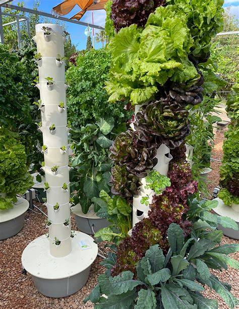 Aeroponic Tower Diy - raincitystudios.com