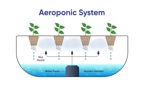 AEROPONICS – Vertical Cultivation Technology - raincitystudios.com