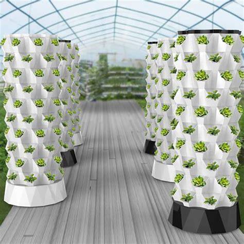 Aeroponics vertical indoor farming - raincitystudios.com