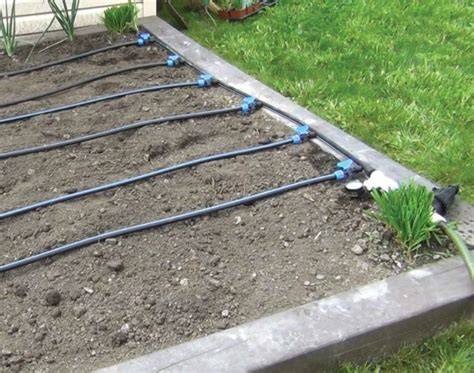 Affordable DIY Irrigation Solutions for Beginners - Live to Plant - raincitystudios.com