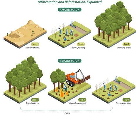 Afforestation and Reforestation Projects under the Clean Development ... - raincitystudios.com