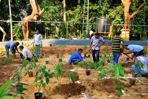 Afforestation Scheme - Gov.ie - raincitystudios.com