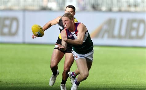 AFL Tables - Hayden Young - Stats - Statistics