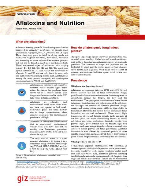Aflatoxins and Nutrition - GIZ - raincitystudios.com