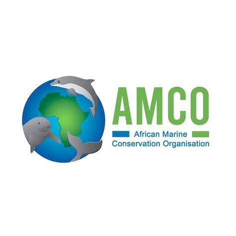 African Marine Conservation Organisation - Crunchbase - raincitystudios.com