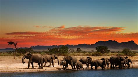 African Savanna Tourism - Turkana Wildlife Safaris - raincitystudios.com