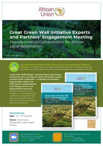 African Union Great Green Wall Initiative Strategy and Ten-Year ... - raincitystudios.com