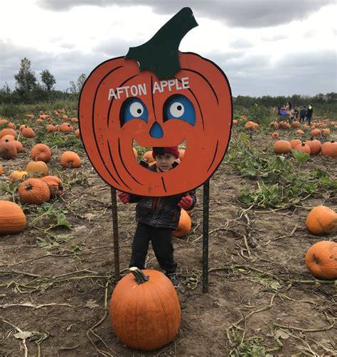 Afton Apple - raincitystudios.com