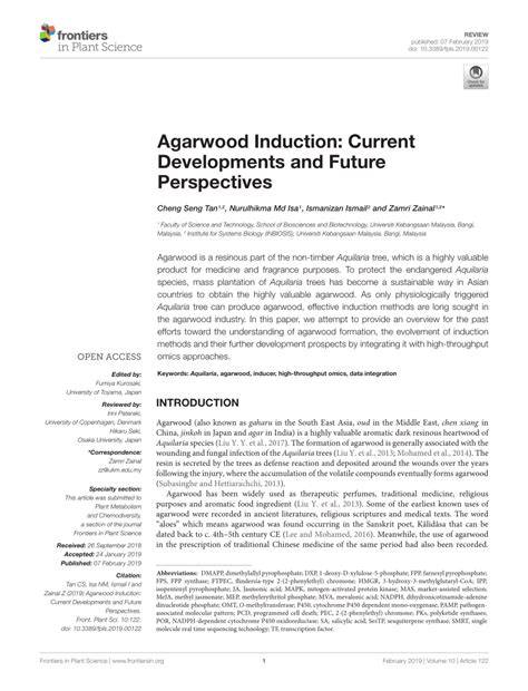 Agarwood Induction: Current Developments and Future Perspectives - raincitystudios.com