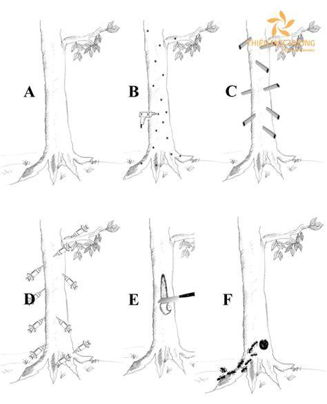 Agarwood inoculation formula detailed explanation - raincitystudios.com