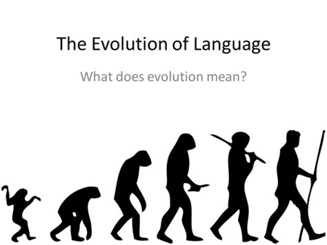 accelerate language structure