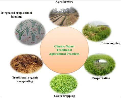 Agricultural Practices | FCC - raincitystudios.com