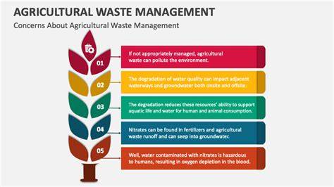 Agricultural Waste: Generation, Management, Environmental Impact ... - raincitystudios.com