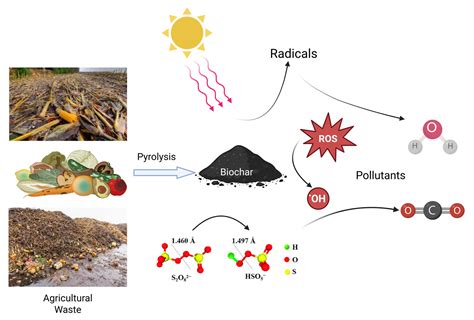 Agricultural Waste - an overview | ScienceDirect Topics - raincitystudios.com