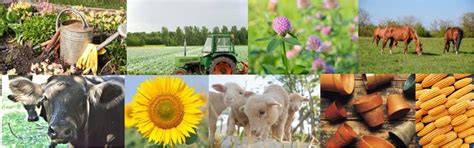 AGRICULTURE AND NATURAL RESOURCES - raincitystudios.com