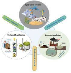 Agro-waste for renewable and sustainable green production: A review - raincitystudios.com