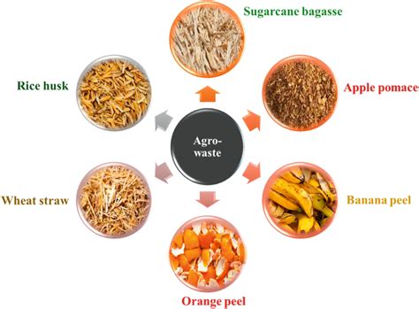 Agro-waste Materials Used for Producing Energy and Sustainability ... - raincitystudios.com