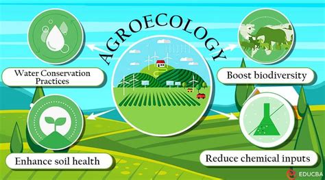 Agroecology and the design of climate change-resilient ... - Springer - coolestguyplanet.net