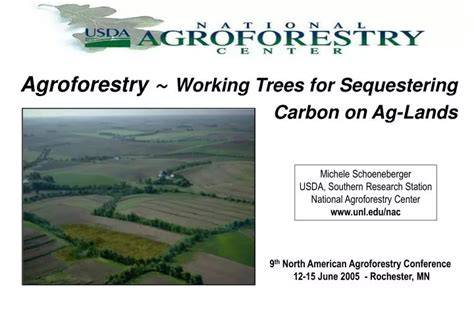 Agroforestry: working trees for sequestering carbon on ... - Springer - raincitystudios.com