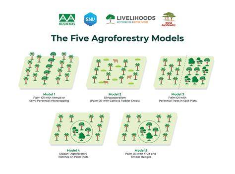 Agroforestry Models for Smallholder Farmers: Practical … - raincitystudios.com