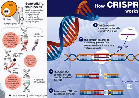 AI Breakthrough: Redesigned CRISPR Nucleases Revolutionize Gene Editing | TnpB & Cas12 Explained (2026)
