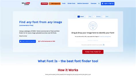 AI Font Identifier Tool - Free Online Font Recognition | grasp.info - coolestguyplanet.net
