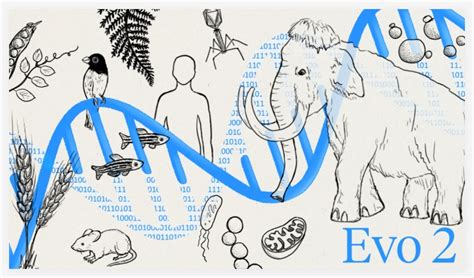 AI Model Evo2 Generates Synthetic DNA Sequences - wintechmobiles.com