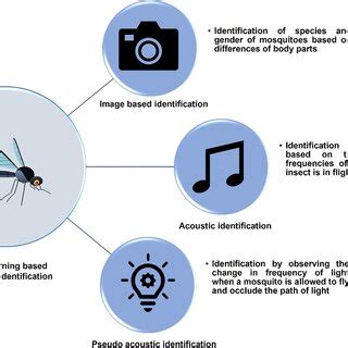 AI Mosquito Identification & Vector Detection Technology - muktibox.com