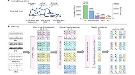 AI Model Predicts 348 Diseases Using Genetics & EHR | Dana-Farber Study (2026)