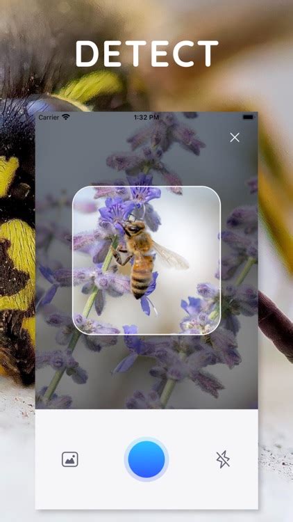AI Photo App Bug Identifier by HVN Studio