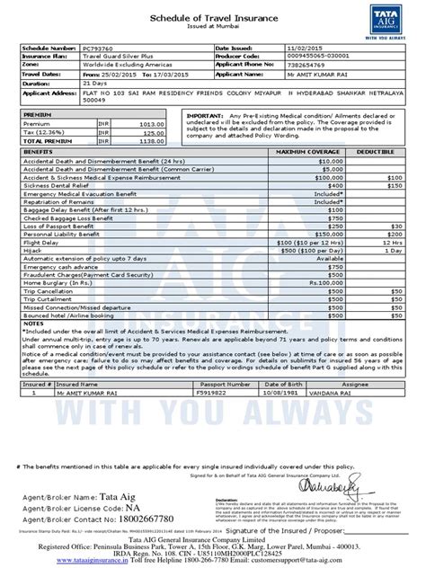 AIG Insurance Sample amit raipdf pdf
