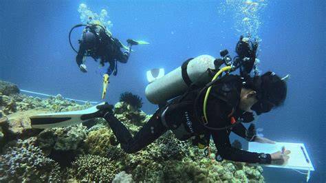 Aims and scope | Marine Life Science & Technology - Springer - raincitystudios.com