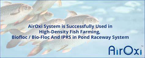 AirOxi System Used in High-Density Fish Farming - raincitystudios.com