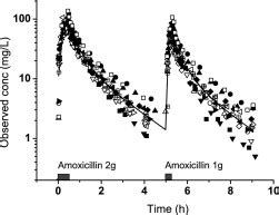 AJOG 2008 Amoxicillin Pharmacokinetics in Pregnant Women