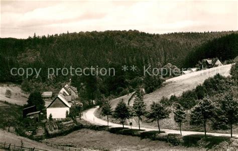 AK Höhenluftkurort Fohlenplacken Neuhaus im Solling …