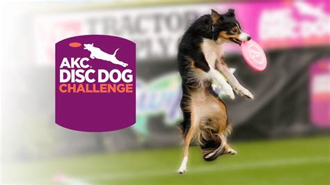 AKC Disc Dog Challenge Watch ESPN