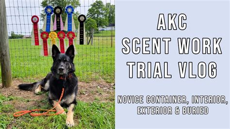 AKC Scent Work Trial - YABTC