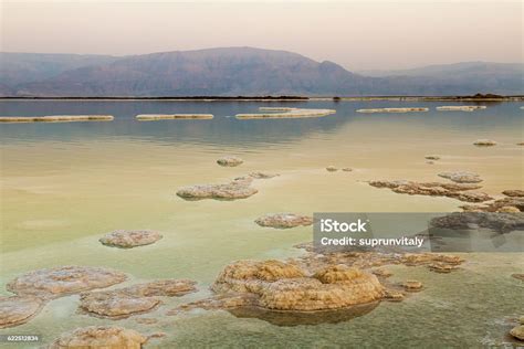 alam mati - elchoricharrua.com