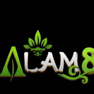 ALAM88   ALAM88 Lynk - ALAM88