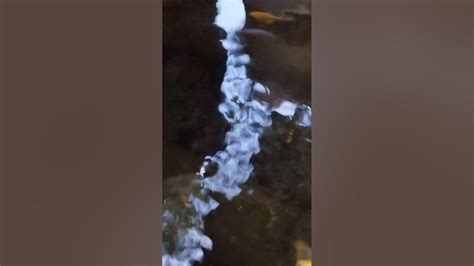 ALAM88   ALAM88 Youtube - ALAM88