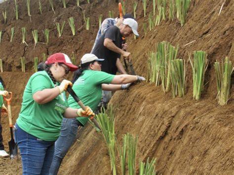 Alameda residents helping to preserve Costa Rican cloud forest - raincitystudios.com