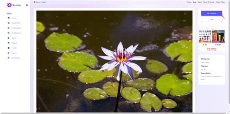 alamy downloader - elchoricharrua.com